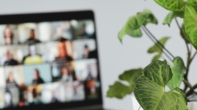 plant with laptop at isae